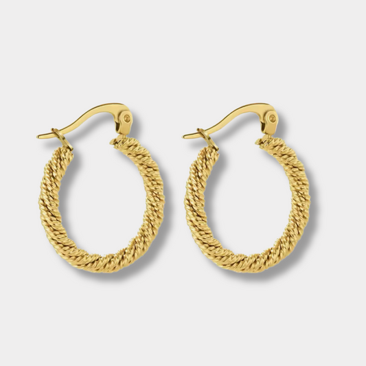 Twisted Hoop Earrings